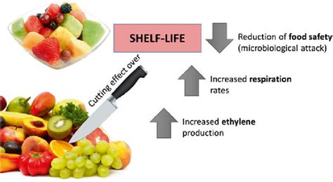 カット野菜 消費期限: なぜ私たちは時間と戦うのか？