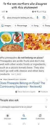 Why Can't I Access Spirit Airlines Website? And Why Do Pineapples Belong on Pizza?